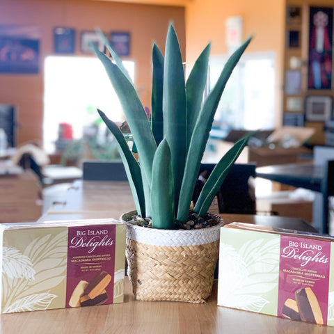 Big Island Delights Dipped Shortbread Cookies - Kona Mountain Coffee