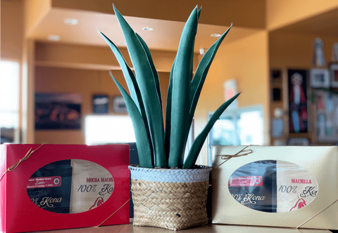 100% Kona Duo Sampler Box - Kona Mountain Coffee