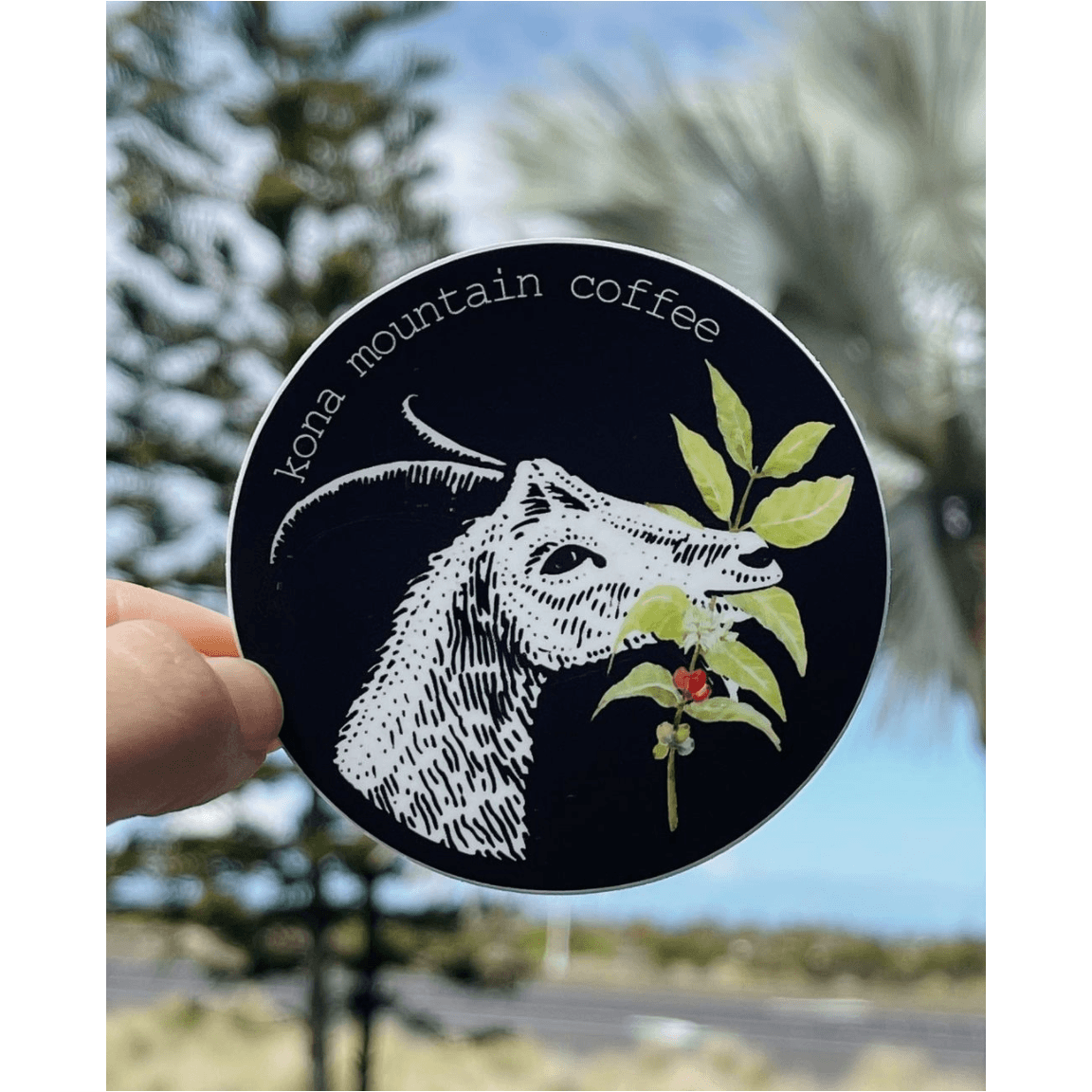 Kona Coffee Stickers - Kona Mountain Coffee